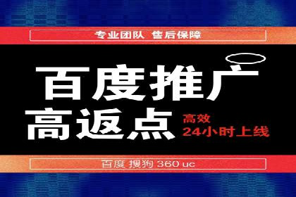 百度竞价广告的成功之路：企业运营案例集